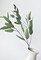 31&#x22; Faux Eucalyptus Leaf Stem